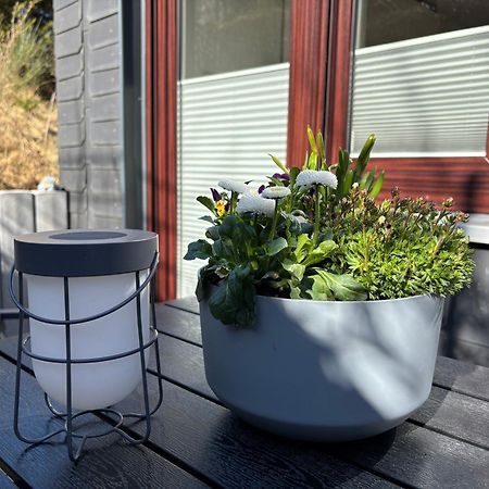 Dein Winterberg Apartment - Wifi Geschirrspueler Smart Tv 部屋 写真